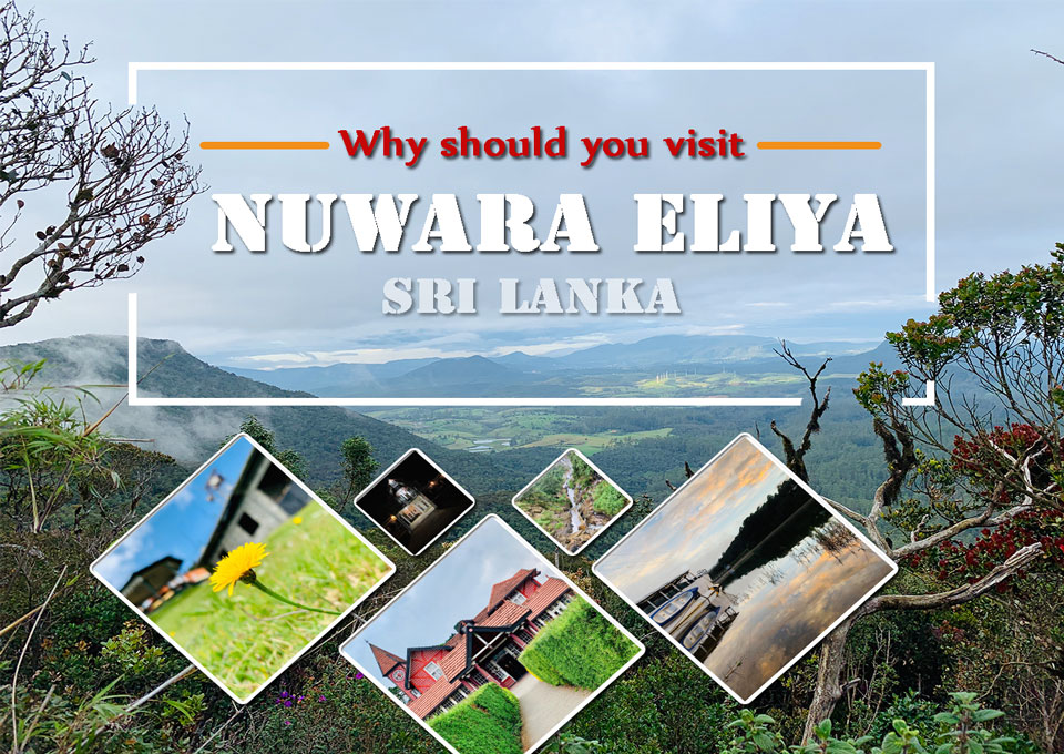 nuwaraeliya, nuwara eliya Sri Lanka